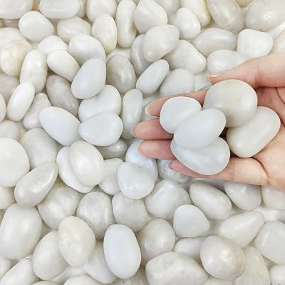 FANTIAN 2 Lbs White Pebbles 20-30 mm Decorative Stones for Plants Pots