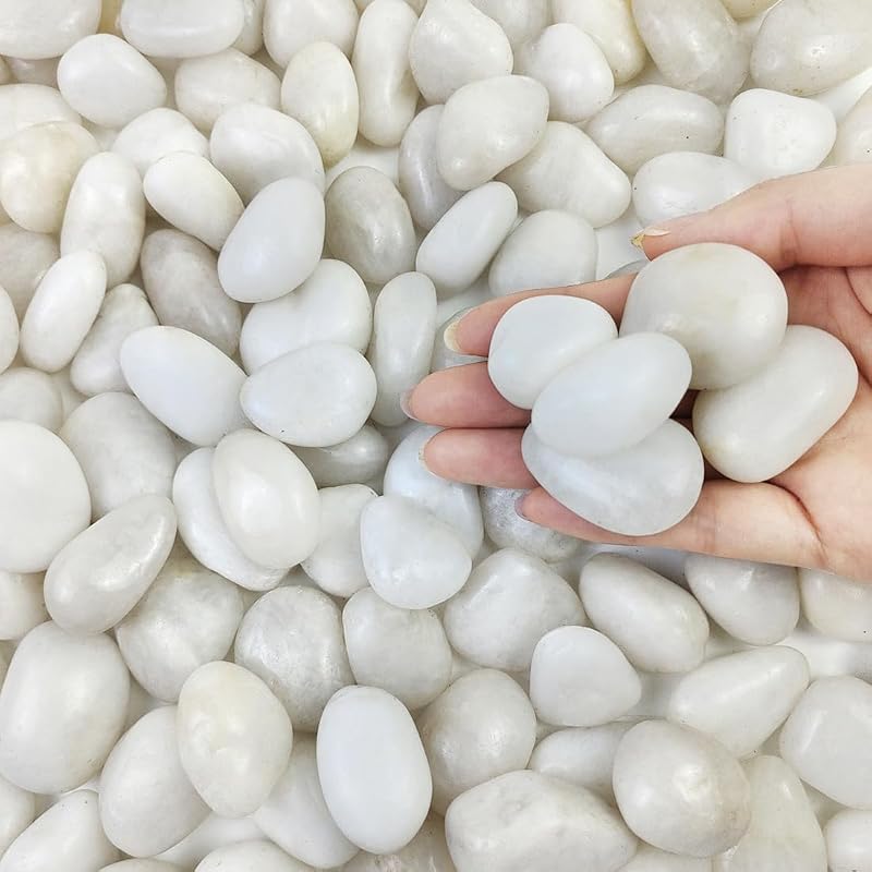 FANTIAN 2 Lbs White Pebbles 20-30 mm Decorative Stones for Plants Pots