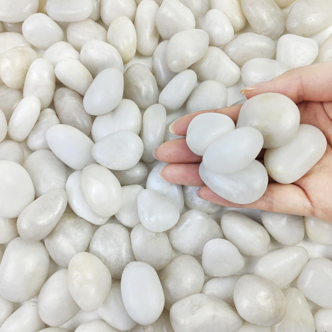 FANTIAN 2 lbs Small White Pebbles for Plant Pots, 20-30 mm Decorative White Stones for Garden, Plants, Aquariums, Vase and Outdoor Garden Rocks