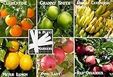 Yum Fruit Combo Pack Bulk Seeds Lemon, Clementine, Apple, Banana (Organic) 45+ Seeds UPC 650327337794 Self Fertile + 6 Free Plant Markers