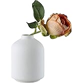 White Ceramic Vases - Simple Vase for Flowers Plants, Modern Vase, Flowers Vases for Home Decor, Small vases for Flowers, Living Room Decor and Various Festive Vases As Gifts for Others. (White)