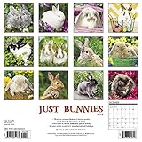 Image de Just Bunnies 2018 Calendar