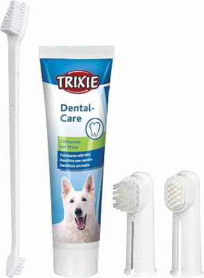 2561 Dental Care Kit, Cane