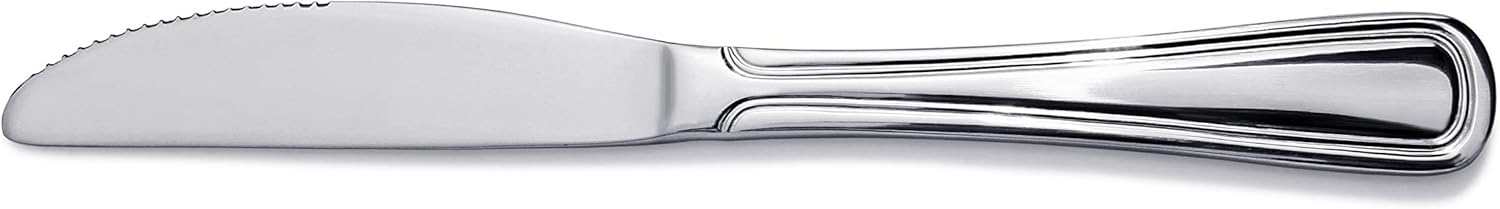 New Star Foodservice 58000 Slimline Pattern, 18/0 Stainless Steel, Dinner Knife, 9-Inch, Set of 12: Kitchen & Dining