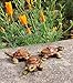 Animated Poly Resin Small Turtle Shaped Pot Feet/planter Risers Set of 3