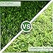 LITA Artificial Grass, Reusable Dog Grass Mat, Potty Training Rug and Replacement Artificial Grass Turf, Fake Grass for Small Dogs Indoor Outdoor, Easy to Clean with Drainage Holes 28 in x 40 in