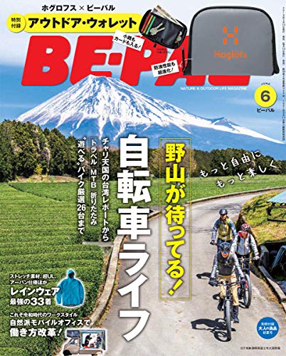 BE-PAL 2019年6月号 画像 A