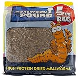 MBTP Bulk Dried Mealworms - Treats for Chickens & Wild Birds (5 Lbs)