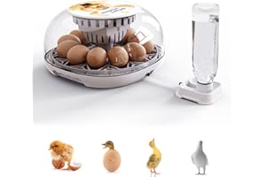 Egg Incubator, Fistone 12 Eggs Full Automatic Chick Incubator with Auto Egg Turner, Temperature Humidity Control Incubator for Hatching Chickens, Ducks, Goose, Birds