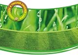 Chatsworth Love Your Lawn Grass Seed 500 g Ready To Use All In One view 5