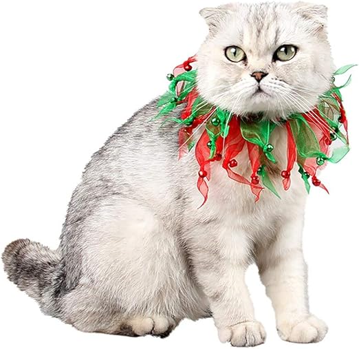 accesorios gatos amazon