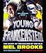 Young Frankenstein: The Story of the Making of the Film by 