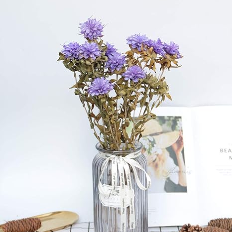Amazon ドライフラワー 花材 ハコベ花束 長さ45cm 紫の 3pcs 家の装飾のための装飾的な花の花束 工芸品 ギフト 結婚式または他の機会 造花 オンライン通販