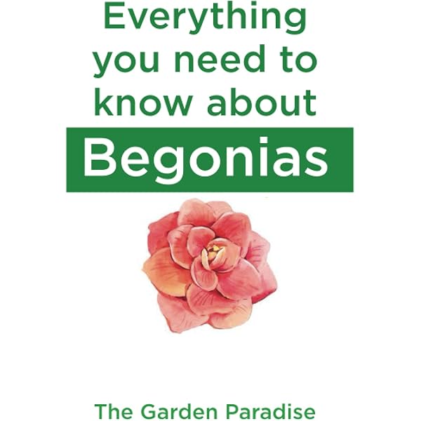 The Ultimate Begonia Handbook: How to Grow and Care for Beautiful