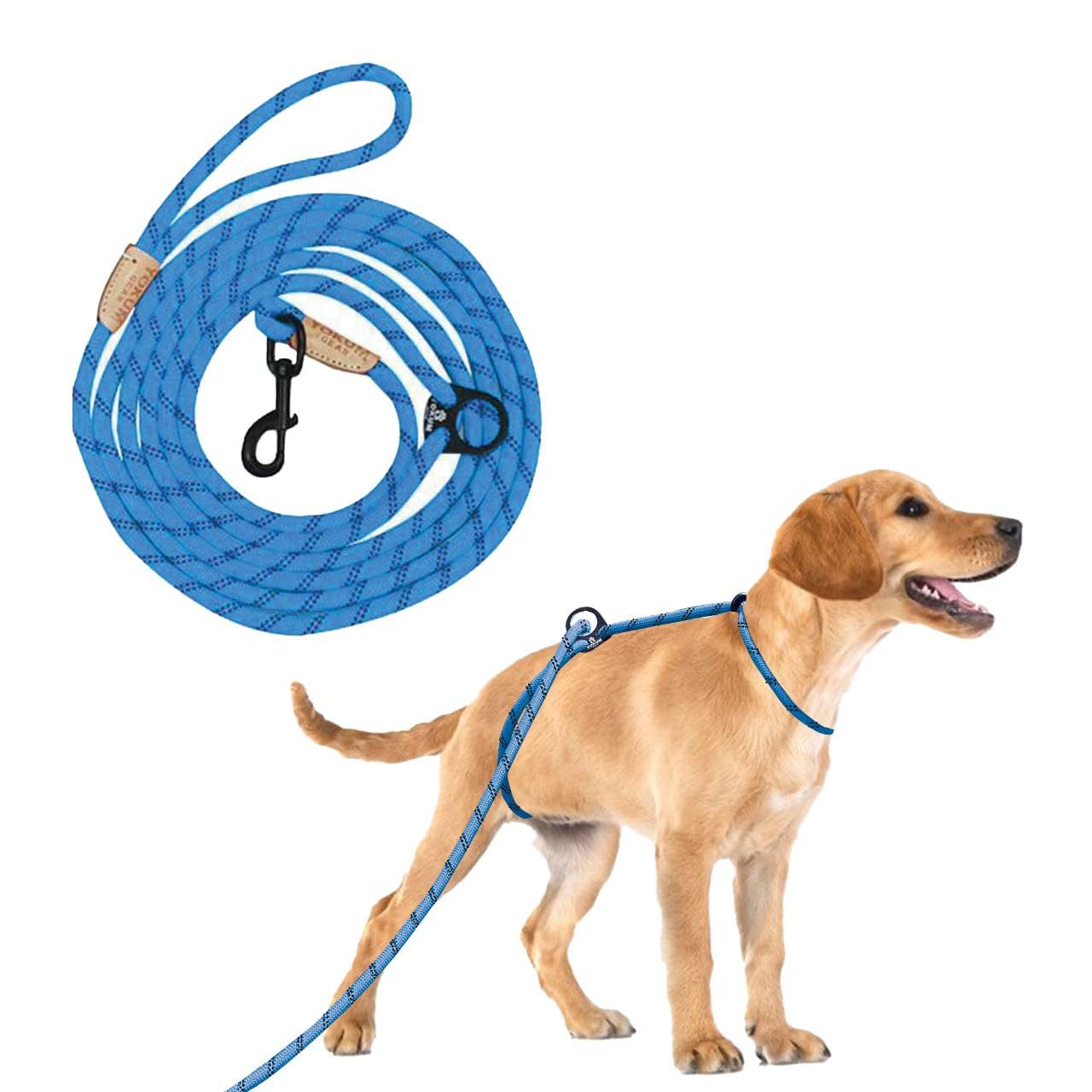 Photo 1 of 12ft No Pull No Choke Leash Long Rope Dog Leash, Anti Pulling, Dog Leads for Walking, Double Hook & Escape Proof for All Breeds, Reflective Teal