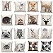 Kitty Square Animal Print Cotton Linen Throw Pillow Case Vintage Cushion Cover Home Decor (Cute Goat)