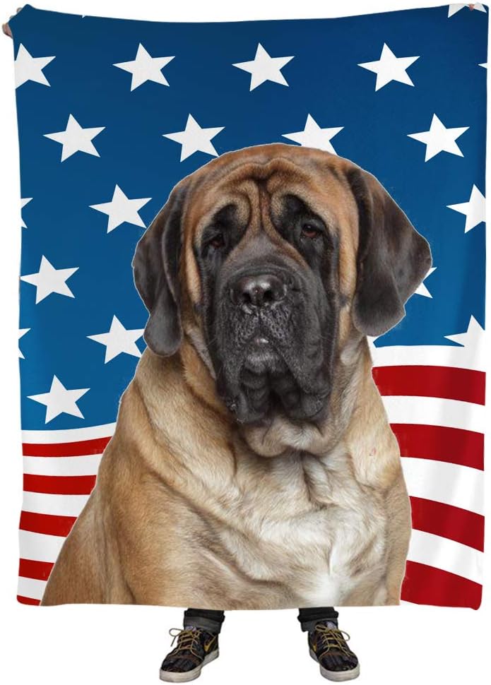 what's the fastest dog in the world