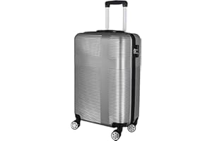 LUMINATERY Carry On Luggage 20 Inch 22x14x9, Hardshell ABS Suitcase with Double Spinner Wheels, Lightweight with TSA Lock,Silver Gray