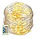 LED String Lights - 33FT100 LED String Lights Dimmable with Remote Control, Waterproof Decorative Lights For Garden, Patio, Gate, Yard, Bedroom, Wedding, Parties (Silver Wire Lights，Warm White)