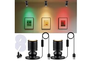 INKECI USB Powered Mini Spotlights for Displays 2-Pack – 5V Small LED Spot Lights Indoor, 7 Color Options, Compact USB Spotlight for Display Cases, Shelves, Cabinets, and Artwork (2PACK Warm Light)
