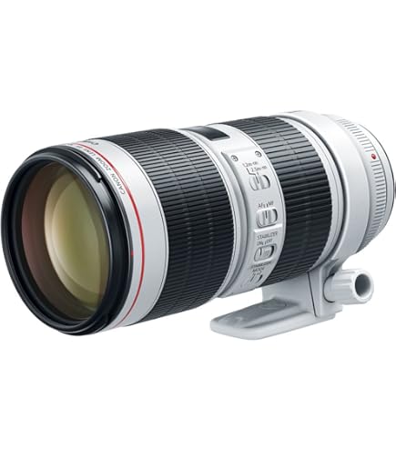 Canon EF 70-200mm f/2.8L IS III USM Lens for Canon Digital