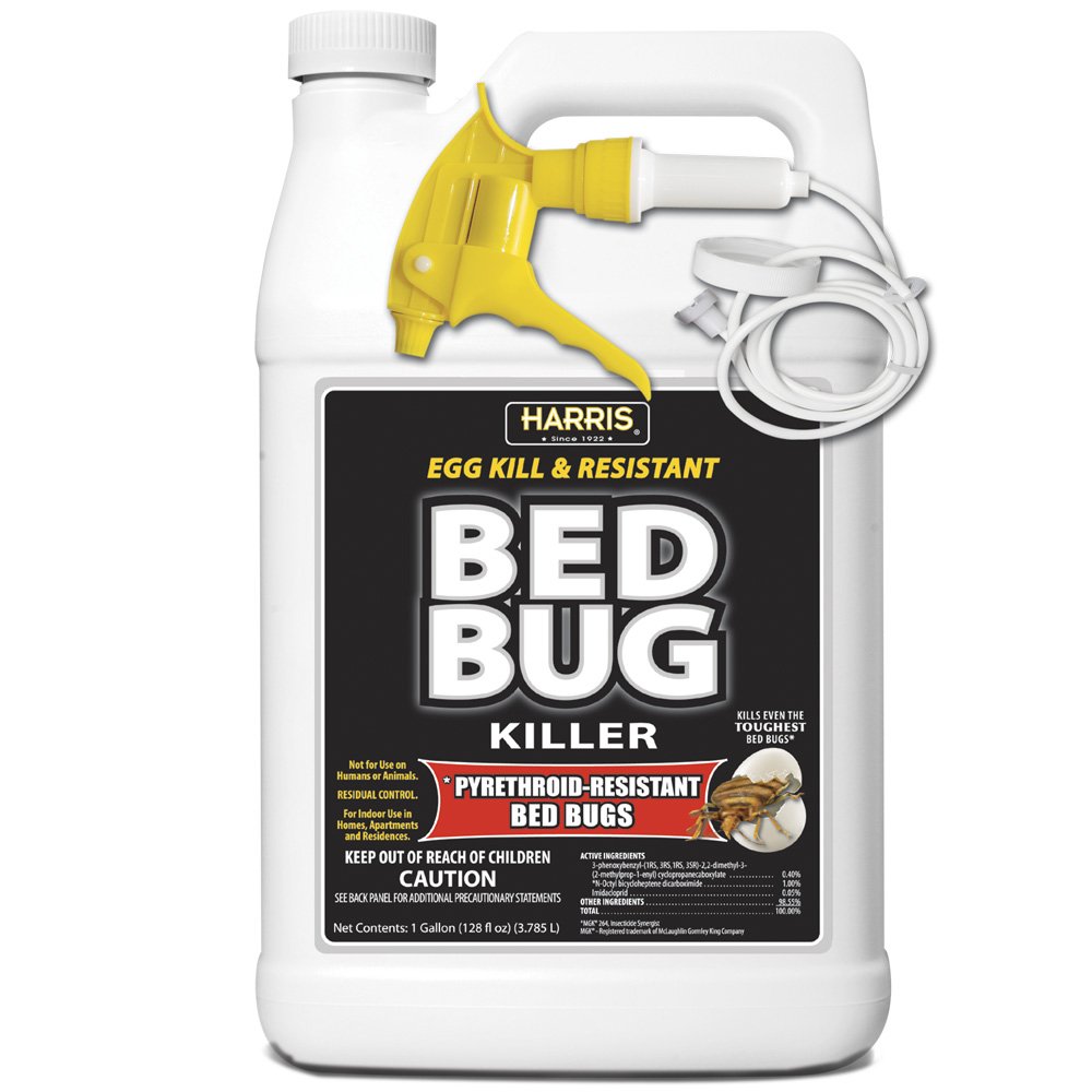 Best Lady Bug Killer , How to Get Rid of Stink Bugs & Ladybugs in Your ...