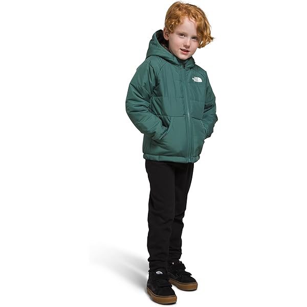 Amazon.com: THE NORTH FACE Big Kids' Eclipse Reversible Insulated