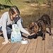 Venture Alaska Pollock Meal & Pumpkin Limited Ingredient Dry Dog Food