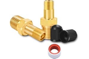 GODESON 1/8" NPT Tank Valve, Anti-Corrosion Brass Schrader Valve with 1/8" Male NPT and Caps, Air valve Using with Air Compressor Tanks (Pack of 2)