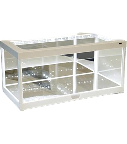 Amazon.com: Collectible 4-Layer Display Showcase with USB Powered