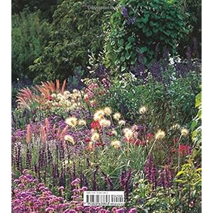 Grasses in the Garden: Design Ideas, Plant Portraits and Care