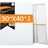 CONDA Large Stretched Canvas for Painting, 30x40 Inch 2 Pack Big Canvas, 100% Cotton, Primed Acid-Free, White Blank Stretched Canvas Boards Art Supplies for Acrylics, Oils Painting