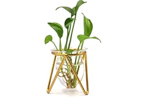 SOSFKIM Plant Terrarium with Metal Stand, Desktop Air Planter Bulb Glass Vase for Indoor Live Hydroponics Plants Home Garden Office Decoration