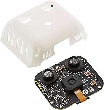 dji phantom 3 professional amazon