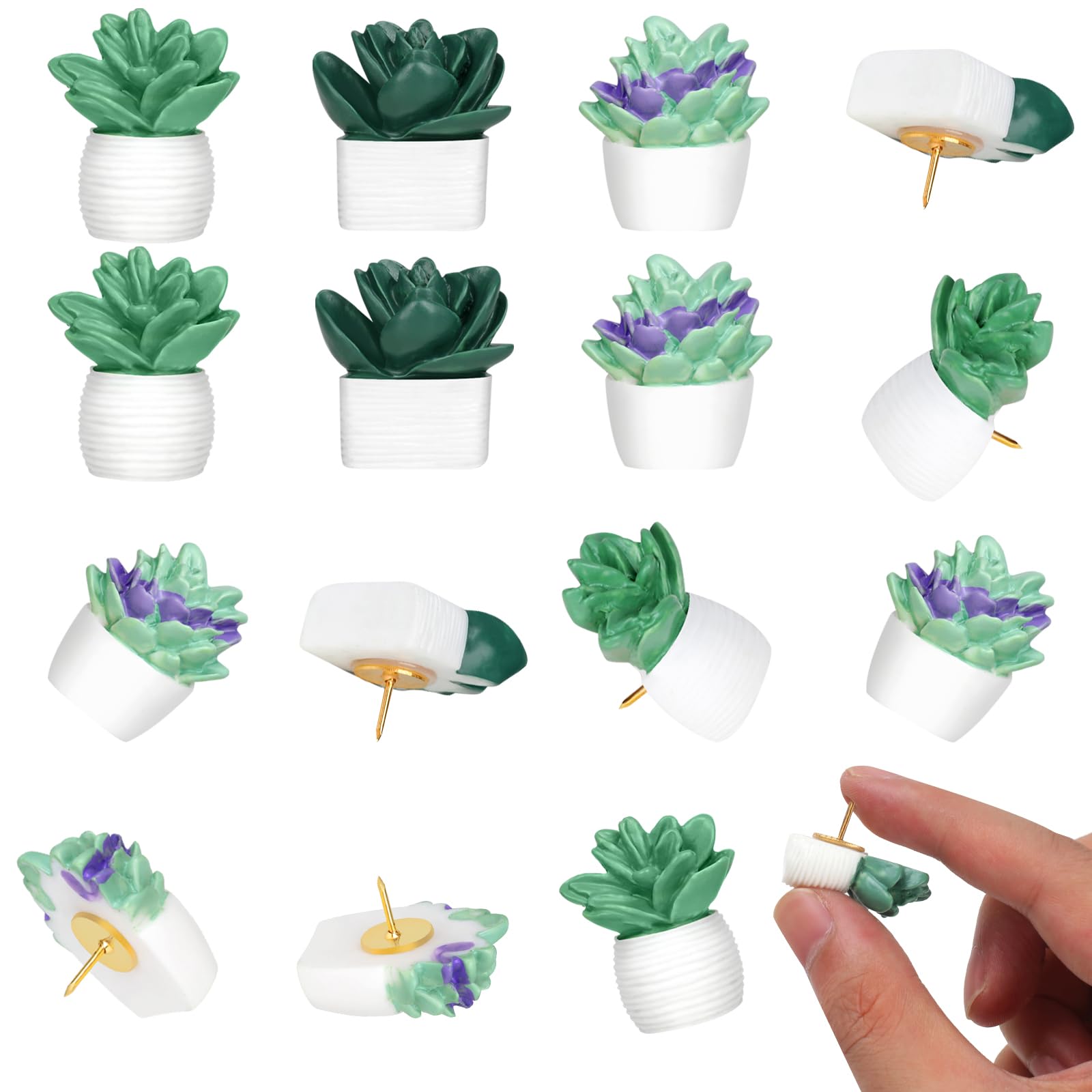 Photo 1 of 20 Pieces Cute Succulent Plants Decorative Push Pins Colorful Floret Thumbtacks for Photo Wall, Feature Wall, Whiteboard, Cork Board, Map, Bulletin Board, Office or Home (Three Assorted Styles)