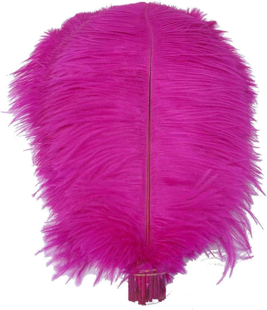 Shekyeon Fuchsia 16-18inch 40-45cm Ostrich Feather DIY Craft Feather Pack of 10