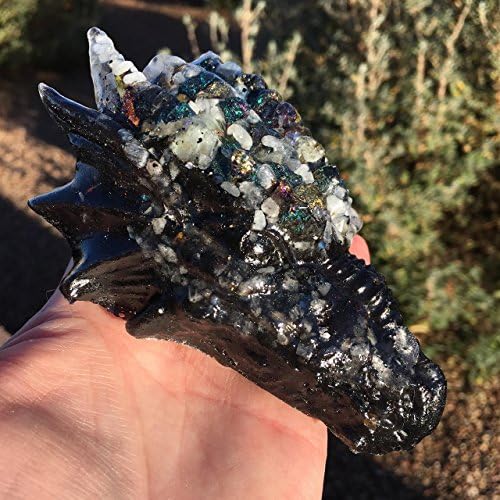 The Essence of Dragons - Black Shungite Orgone Dragon Head #78