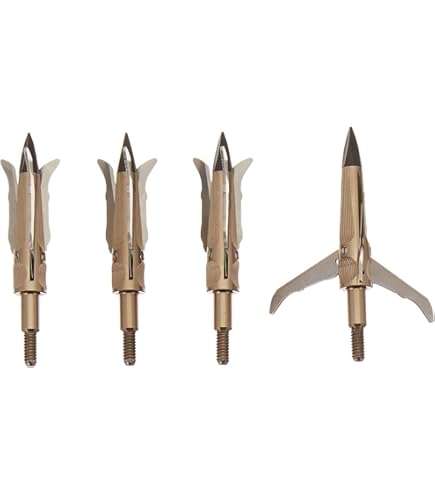 61PFaUJA1LL._AC_UL495_SR435,