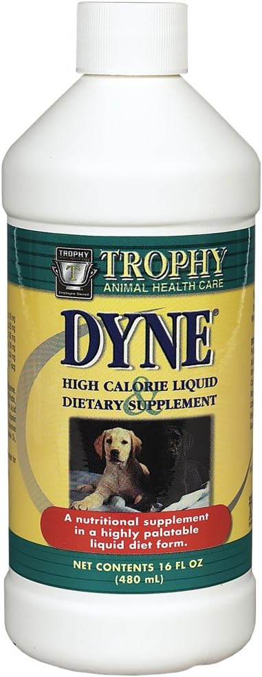 dyne for pregnant dogs