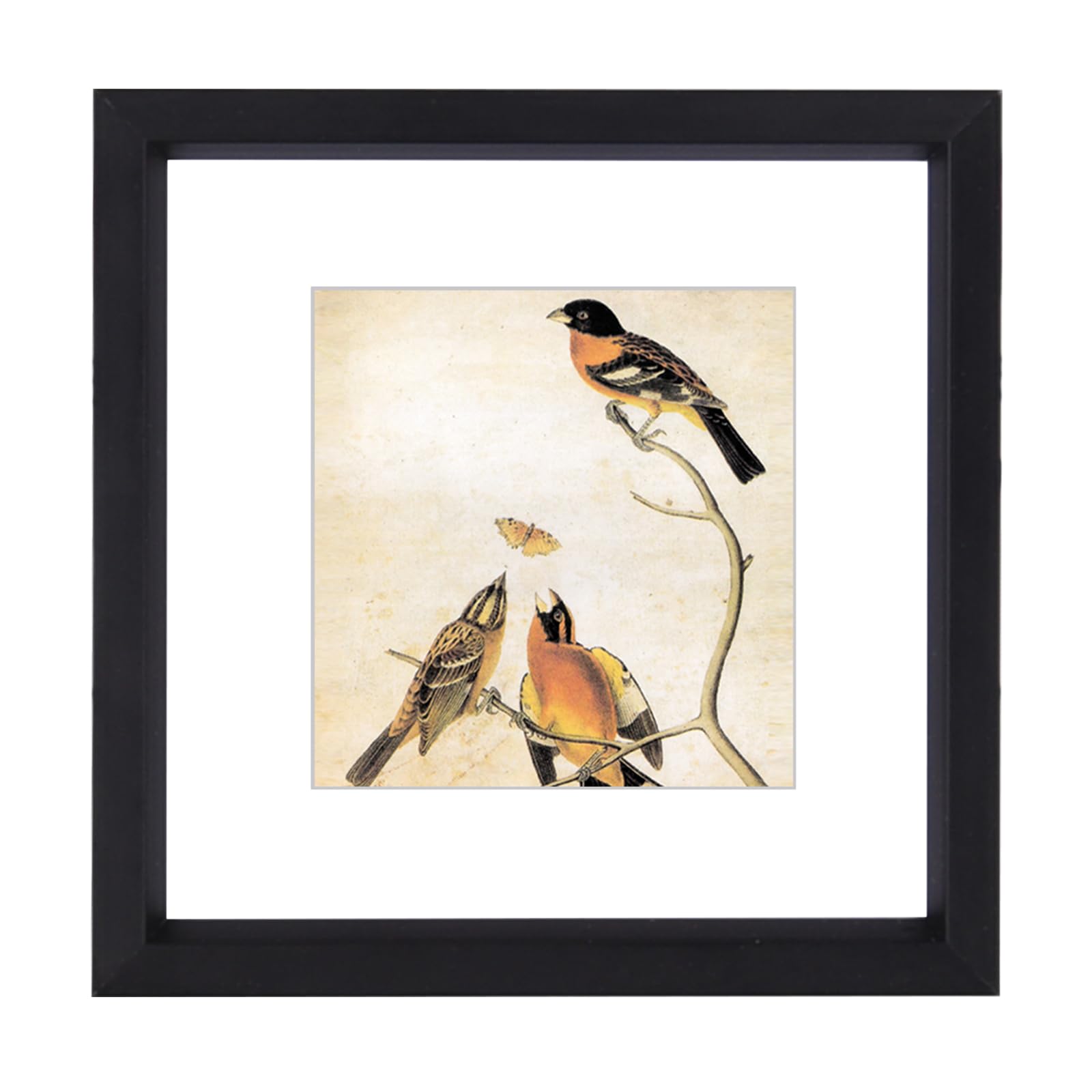 Photo 1 of 3x3 Picture Frame, Black Metal Square Photo Frames with HD Glass, Fits 2x2 with Mat or 3 x 3 without Mat, Display for Wall and Table, 1 Pack