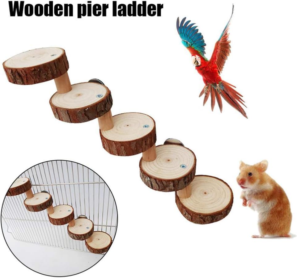 Best Hamster Ladder And Platform