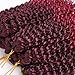 Passion Twist Hair - 8 Inch 9 Small Bundles Afro Curly Crochet Braiding Hair for Black Women, Ombre Curly Crochet Braids Hair Synthetic Water Wave Braiding Hair Extensions (9 Bundles, 1B/BUG)