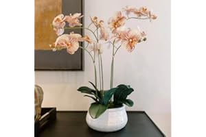 CG Hunter Faux Orange Orchid Plant, Premium Artificial Indoor Flower Display Stands 23”, Beautiful Sculptural Blooms That Lasts Forever, White Planter Pot Included