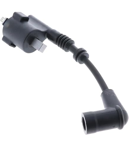 Amazon.com: Honda OEM 30510-ZDX-003 Engine Ignition (1) Coil