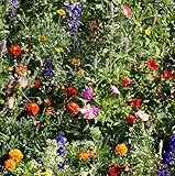 Outsidepride Deer Proof Wild Flower Seed Mix - 1 LB