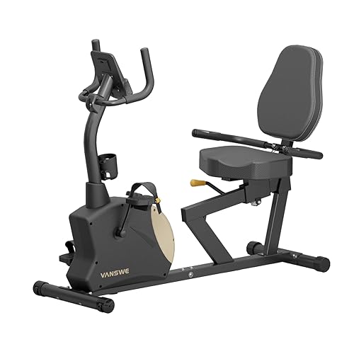 VANSWE Recumbent Exercise Bike for Home Seniors, with 400 LBS
