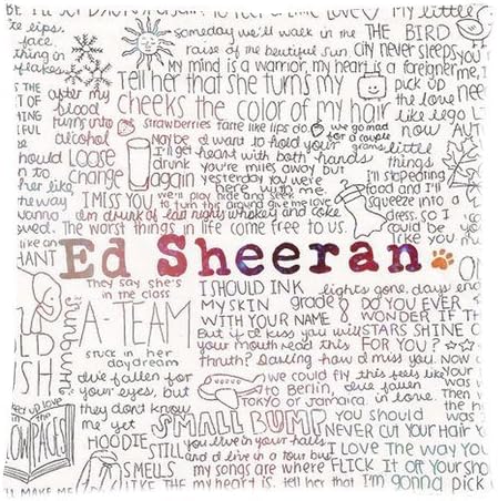 Generic Personalized Ed Sheeran Famous Singer Funny Graffiti Design Sold By Too Amazing Zippered Throw Pillowcase 18x18 inches (one sides)