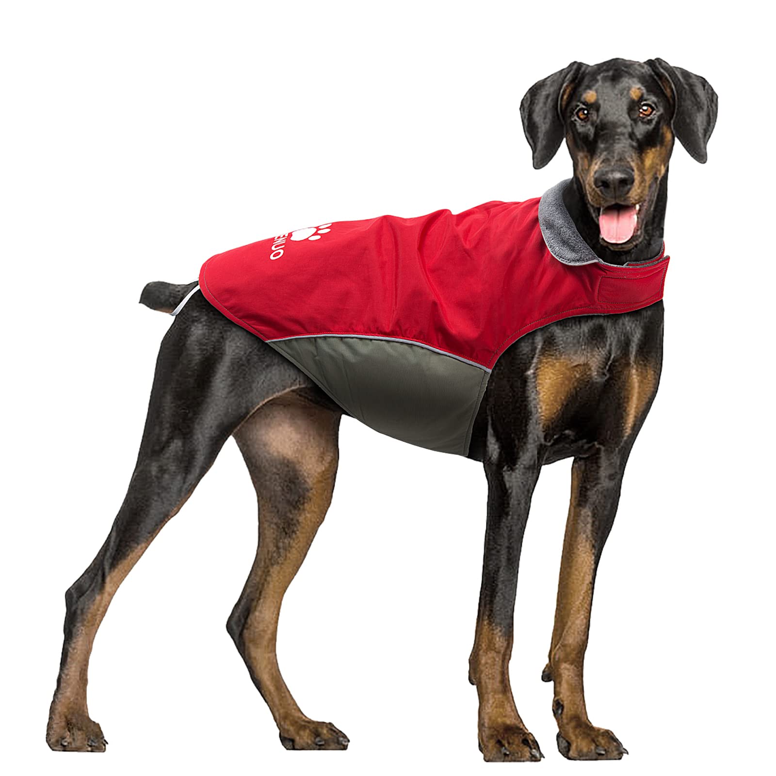 IREENUO Dog Coat Waterproof, Dog Jacket for Medium Large Dogs Windproof Warm Winter Jacket with Safe Reflective Strips & Adjustable Bust (M, Red)