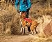 Ruffwear, Web Master, Multi-Use Support Dog Harness, Hiking and Trail Running, Service and Working, Everyday Wear, Red Currant, Small