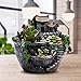 Plants Pot Fairy Garden Planter Plants Pot Flowers Succulent Plants Fairy House Pot Design Plants Pot Mini Fairy House